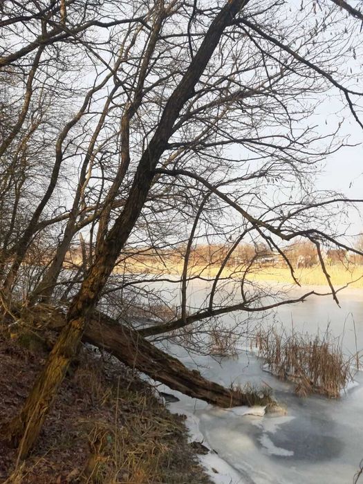 Продаж ділянки природа, ліс, водойми Переяслав-Хм. район , Стовп'яги