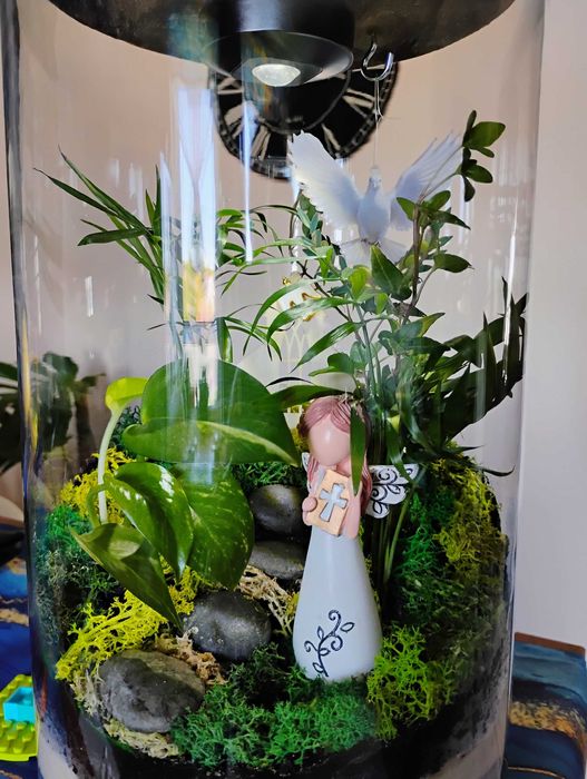 Las w szkle na prezent