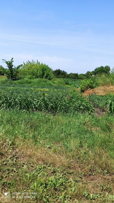 Приватизована земельна ділянка під забудову