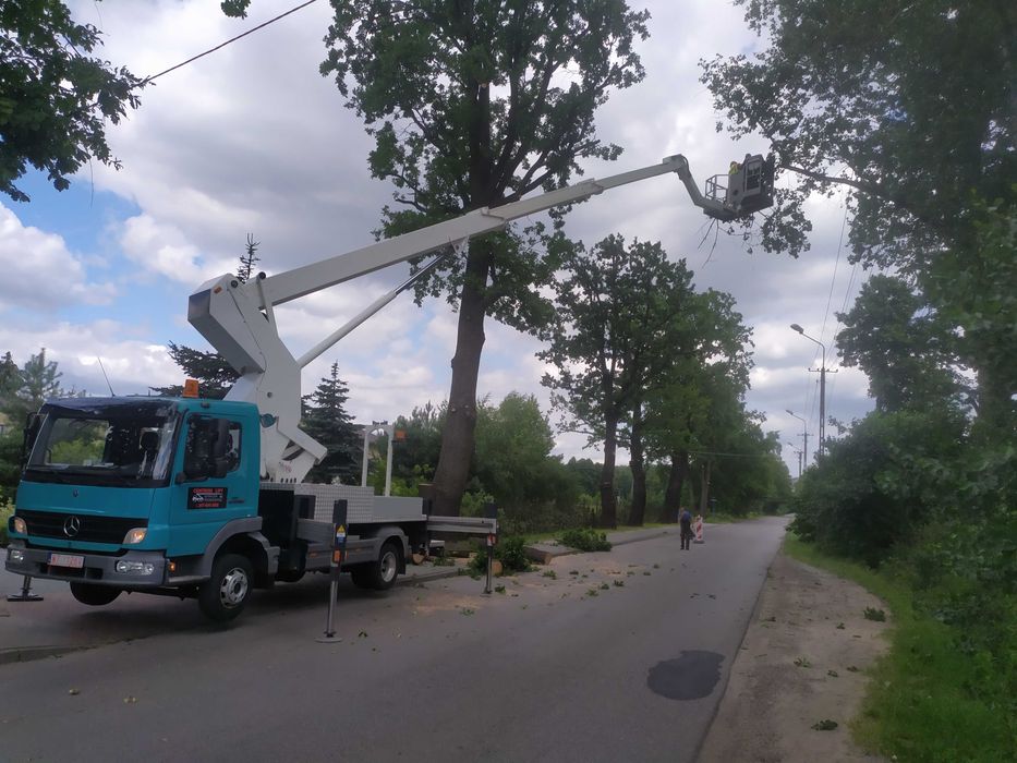 Podnośnik koszowy Warszawa, zwyżka, usługi, wycinka drzew