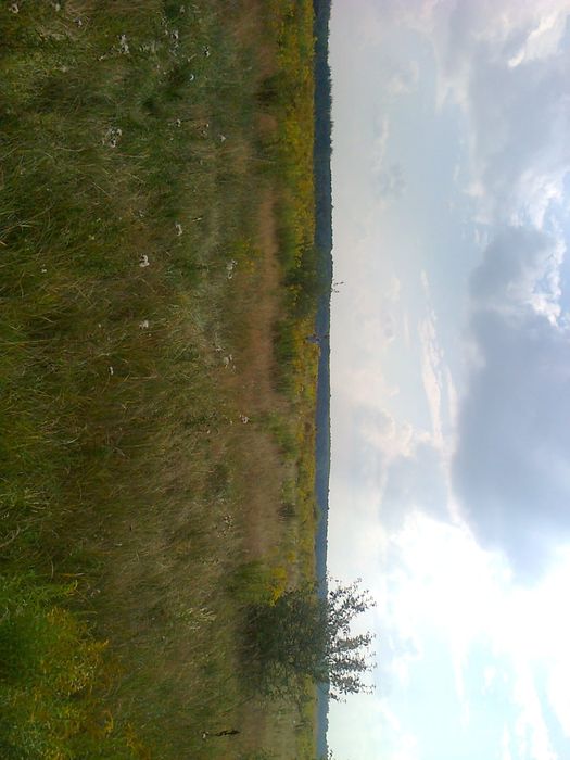 Ділянка 12с садівництво Лукашівка