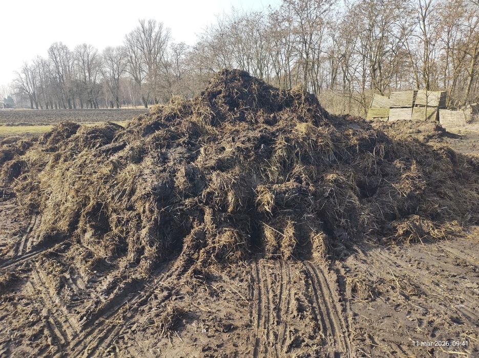 Obornik od krówek