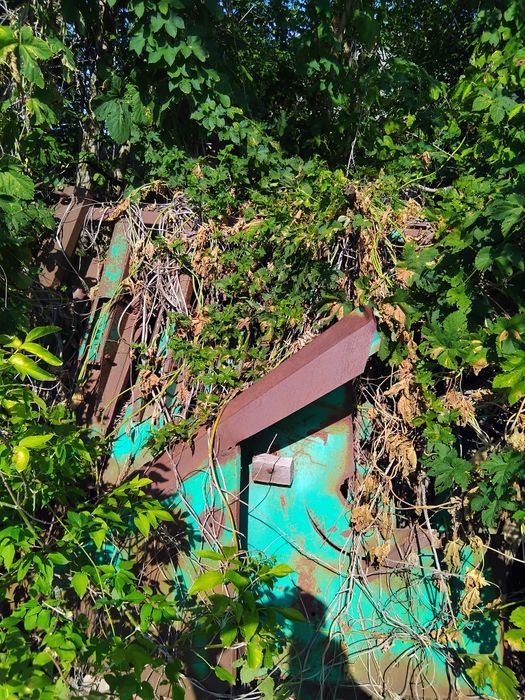 Комбайн нива ск5