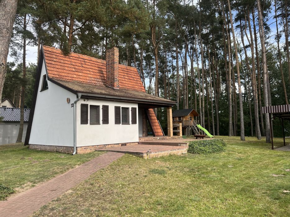 DZIAŁKA Z DOMKIEM LETNISKOWYM - pierwsza linia brzegowa Jeziora Kuźnickiego | Boruja - Widok 2