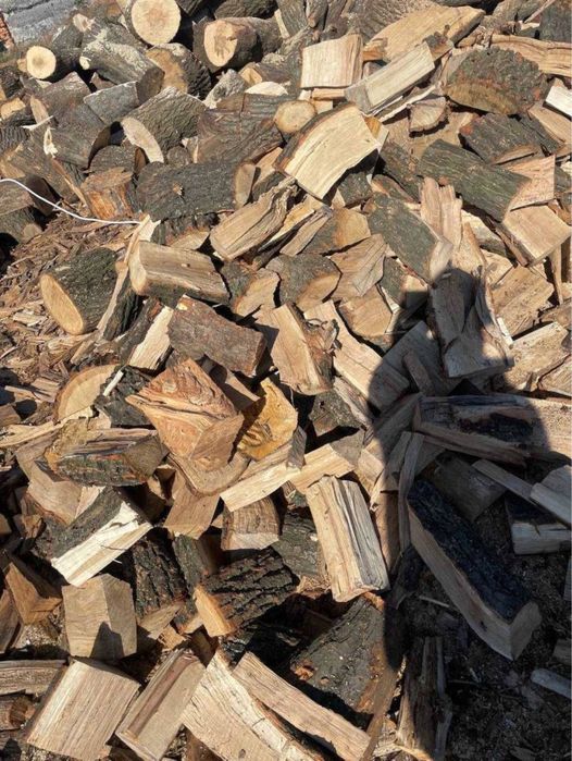 Дрова Акация, лучшая цена|от 3кубов