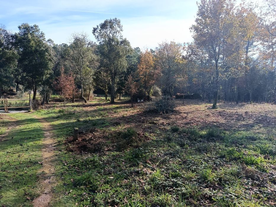 Vende-se quinta Cabeçudo, Sertã