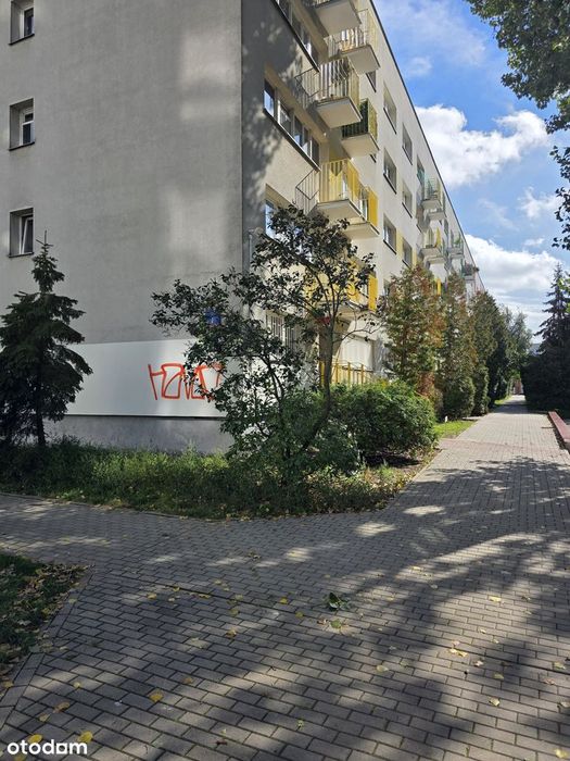 Zdjęcie 7