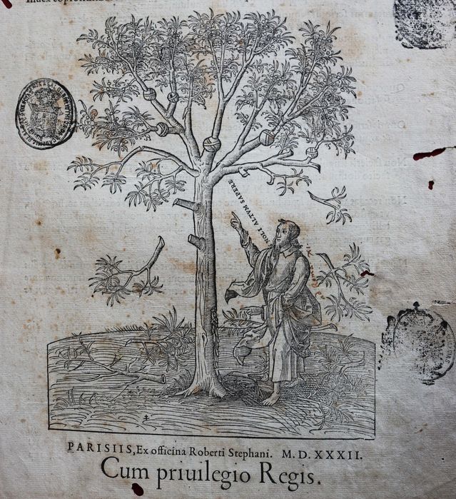 Portada da famosa edição de Bíblia Vulgata de Robert Estienne, 1532