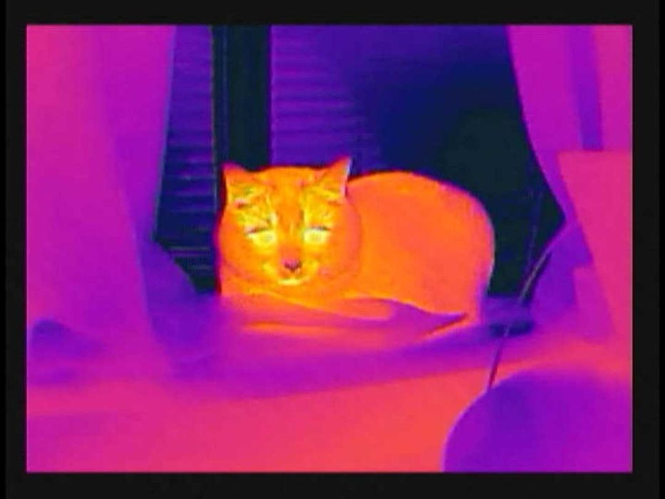 Тепловізор 256х192 з кастомним ПЗ