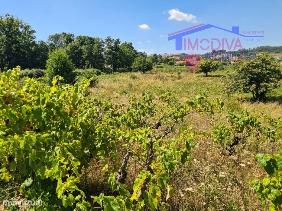 Terreno com possibilidade de construção — Figueiró Dos Vinhos E Bairradas, Leiria