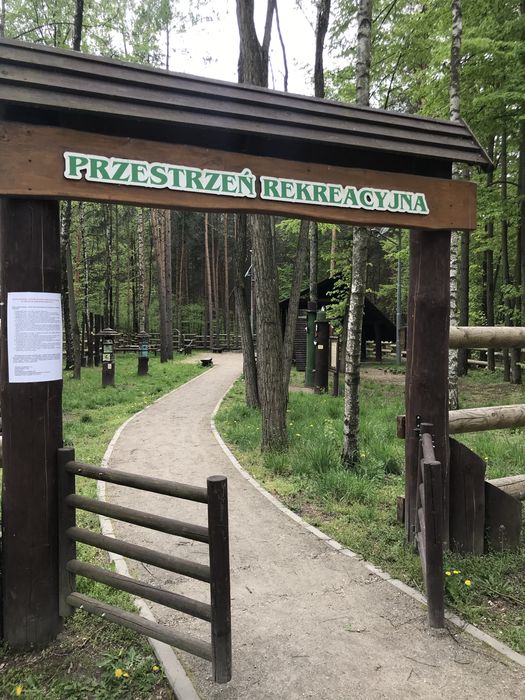 Wynajmę domki letniskowe