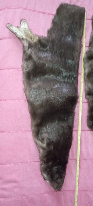 Продам шкури андатри