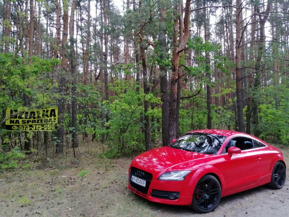 Działka leśna 2500 m² z warunkami zabudowy Osiedle Wilga pod Warszawą – pohled 2