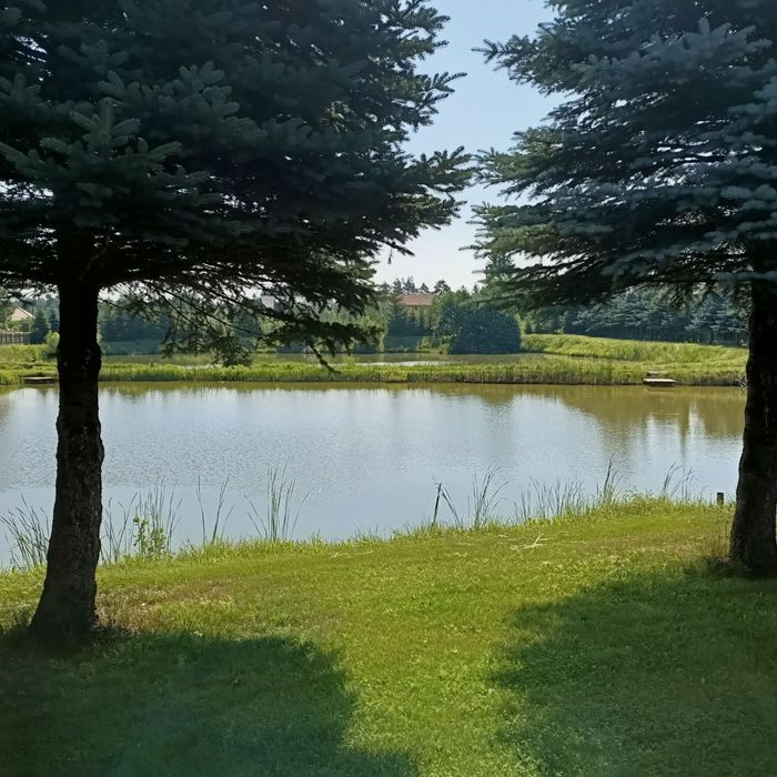 Łowisko, stawy rybne komercyjne