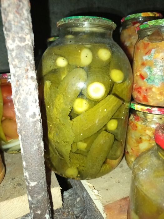 Домашняя консервация