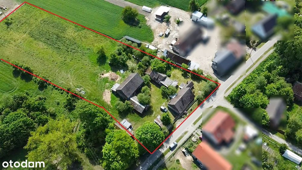 Dom z dużą działką Ciosaniec