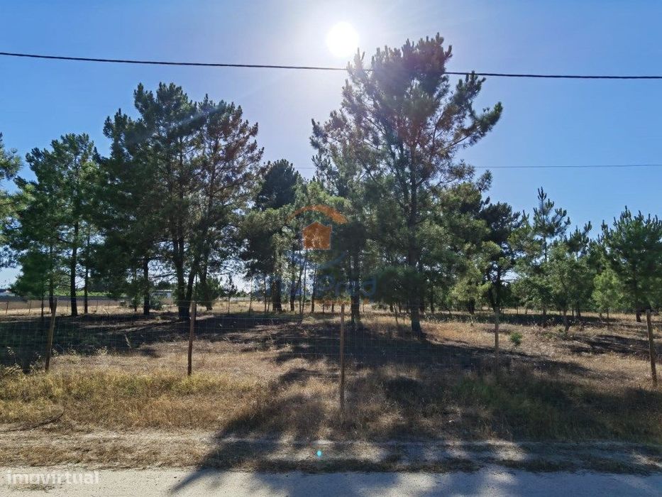 Terreno Rústico de 5.000m2 - Pinhal Novo — Pinhal Novo, Setúbal