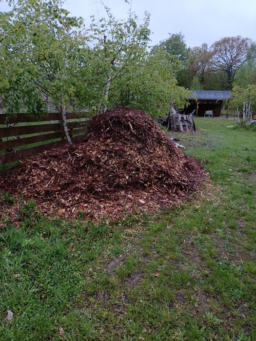 Zrębki brzozowe do ogrodu -sprzedam całość