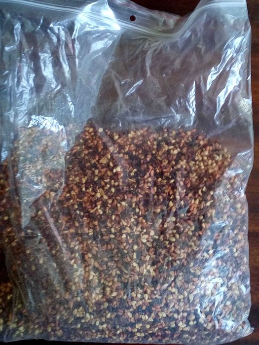 Zioła suszone na wagę