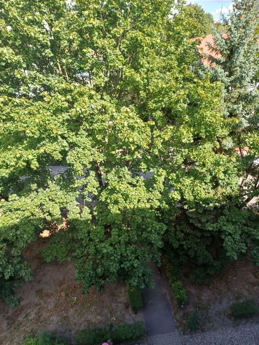 Zdjęcie 5