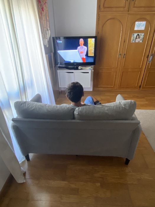 Sofa de dois ligares cinza