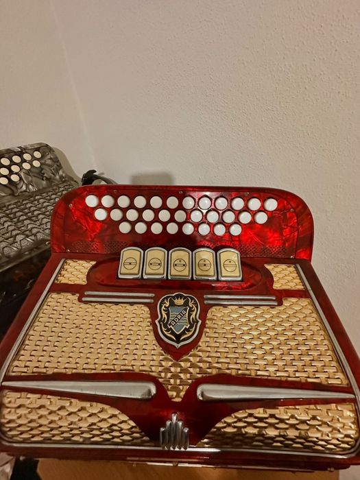 Concertina  Adria |||
