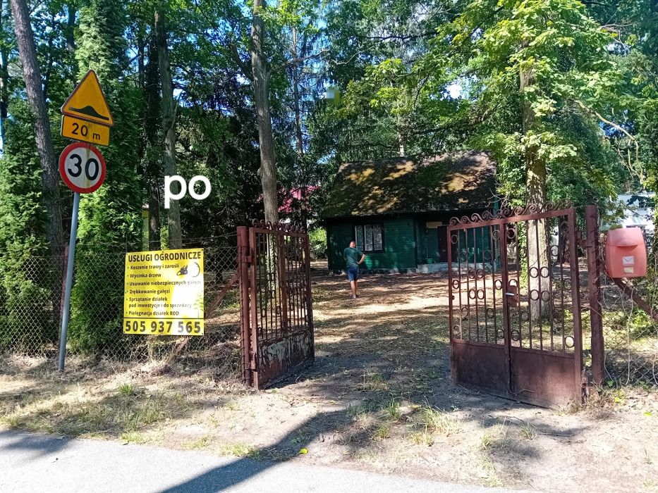 Wycinka Drzew/Czyszczenie Działek/Zrębkowanie gałęzi/Koszenie