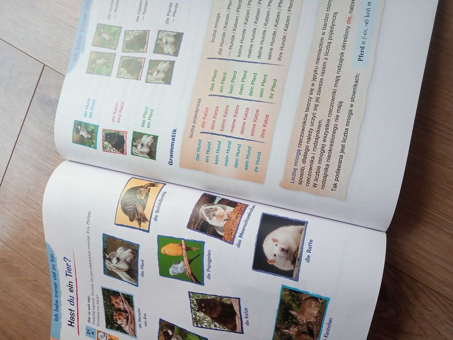 Podręcznik Język Niemiecki PUNKT dla kl. 4 SP