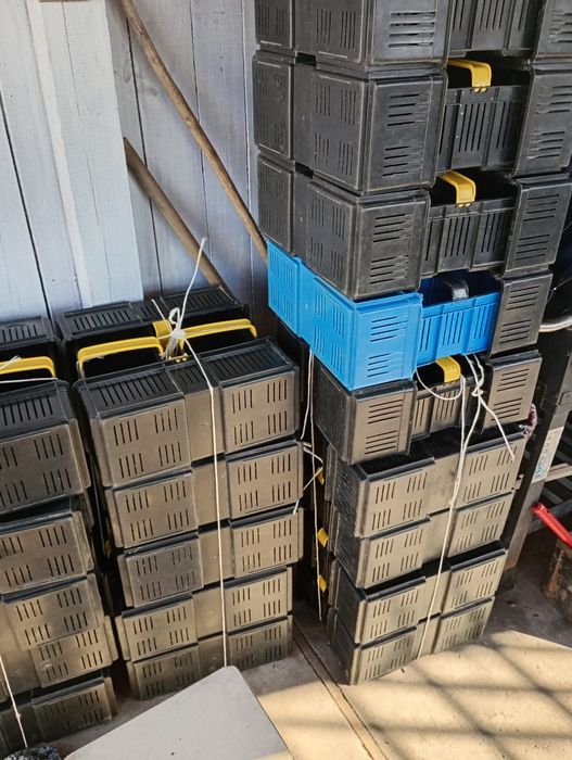 Lubianki plastikowe Kobiałki