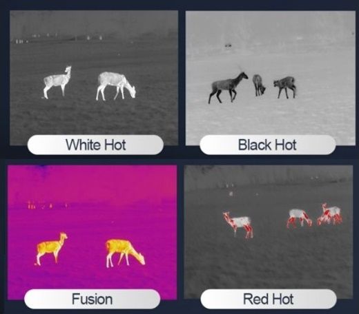 Тепловізійний монокуляр - HikMicro LYNX Pro LH10