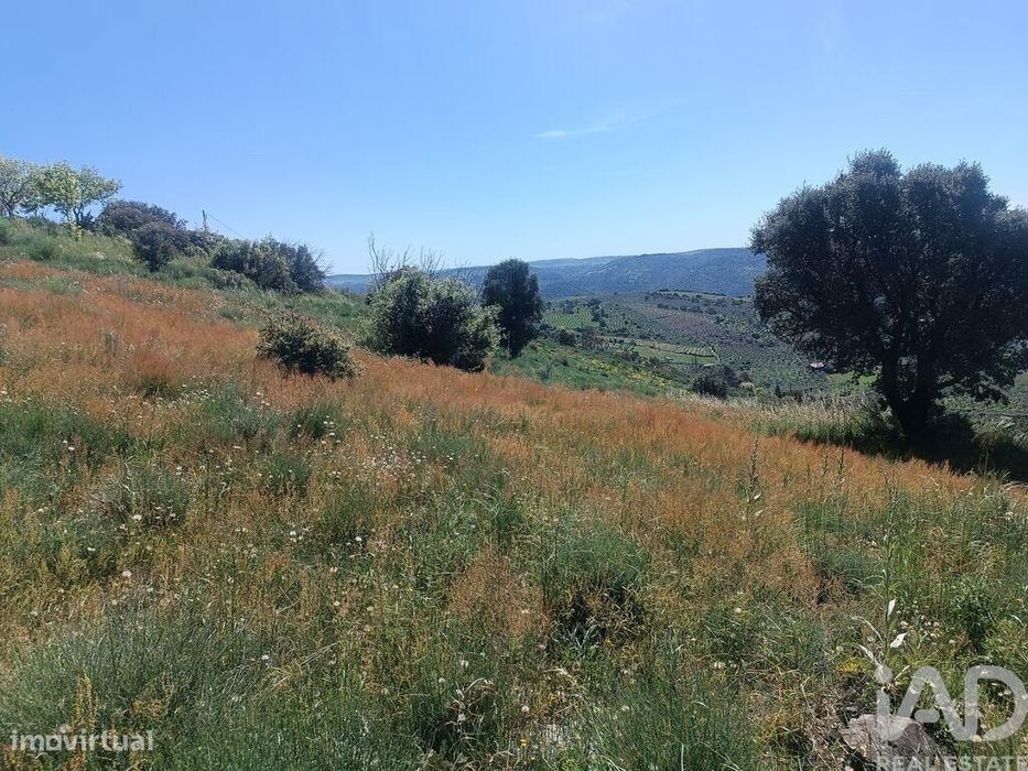 Terreno em Freixo de Espada à Cinta e Mazouco de 49572,00 m2