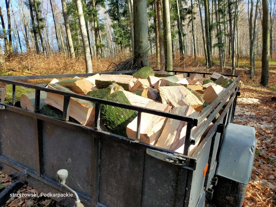 Drewno opałowe kominkowe buk