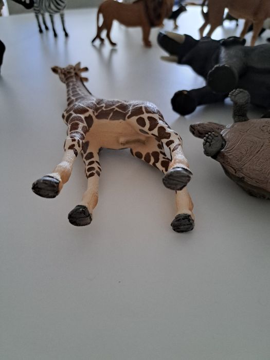 Animais de coleção