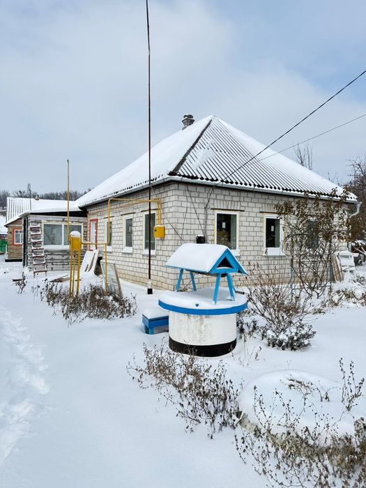 Продаж дому в с. Балаклея