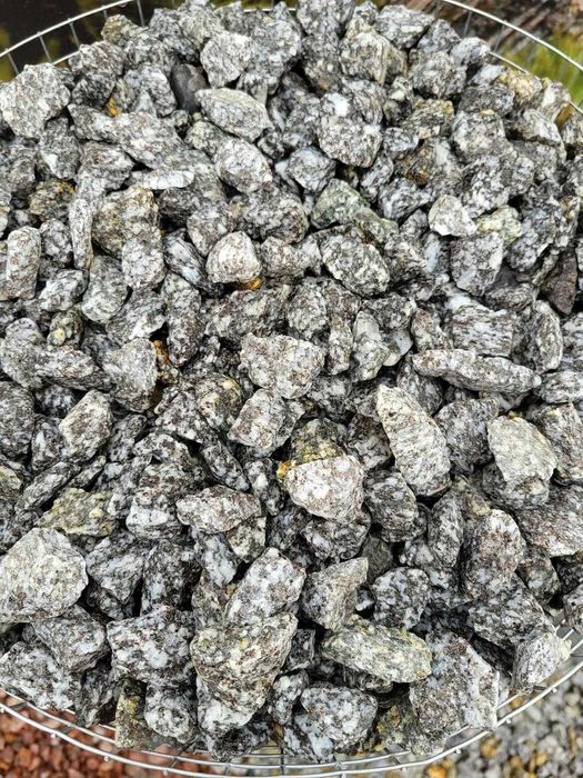 Grys Granodioryt 16-22 mm Sjenit dalmatyńczyk odwrócony Kamień ozdobny