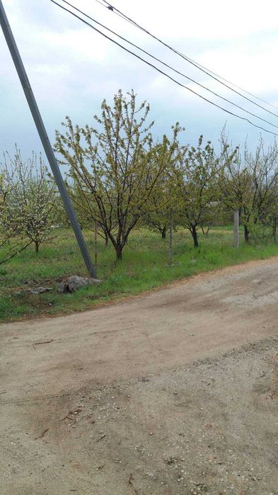 Дачный участок 6 соток Натальевка
