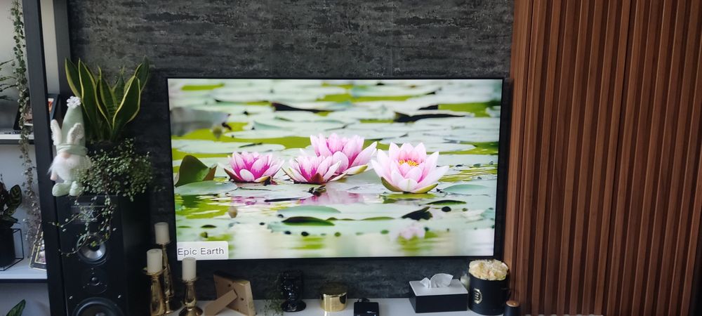 Telewizor LG 65 cali LED Smart TV Wi-Fi