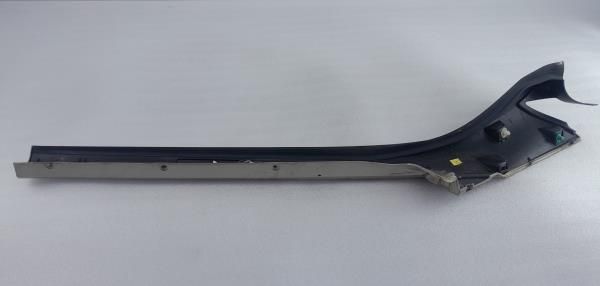 Friso / Frisos RENAULT Scénic III (JZ0/1_)