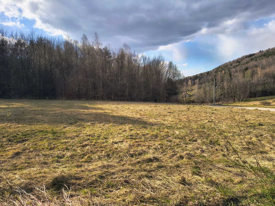 Działka rolna Iwkowa.