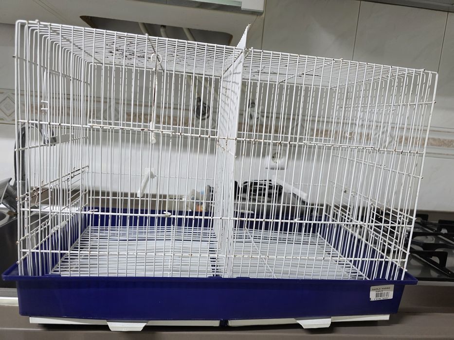 Várias gaiolas usadas e 1 nova em bom estado