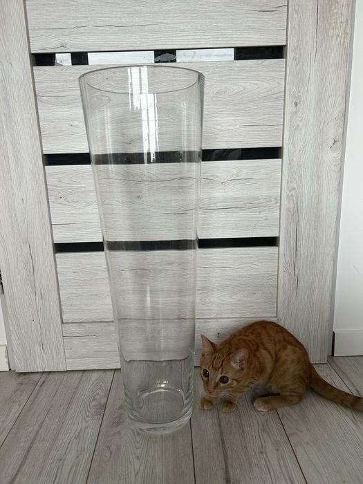 Wazon przeźroczysty ikea wysoki 69,5 cm