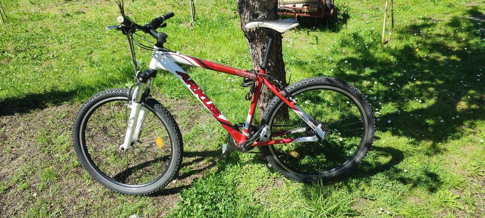 Rower Arkus 18 romet