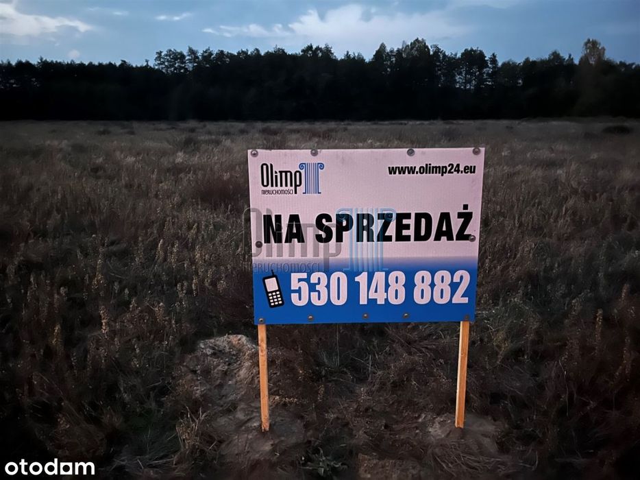 Działki Jarużyn gmina Osielsko