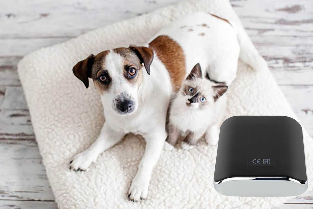 Пристрій для тварин Life Animal WebWellness