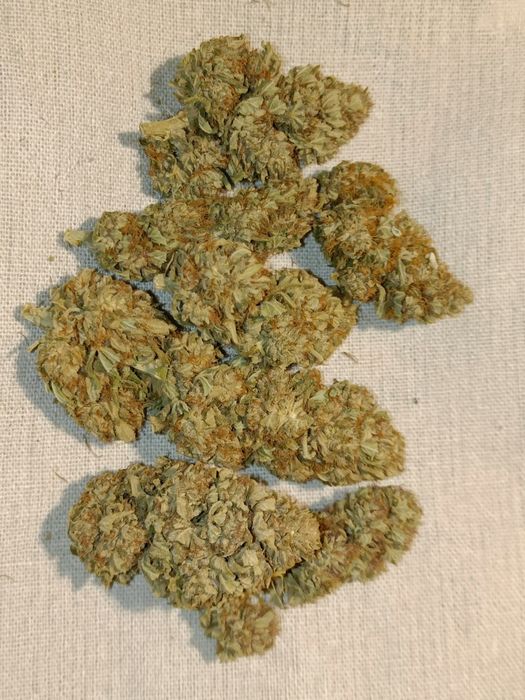 Vanilla Ice susz CBG 20g CBD konopi
