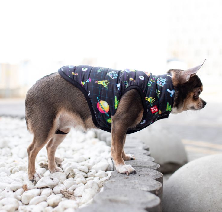 Куртка для собаки, б/у, в гарному стані