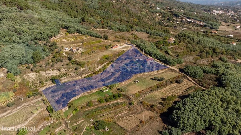 Quintinha T2 / Covilhã, Orjais