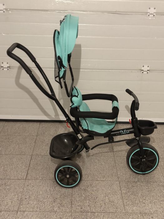 Triciculo Evolutivo Pulse