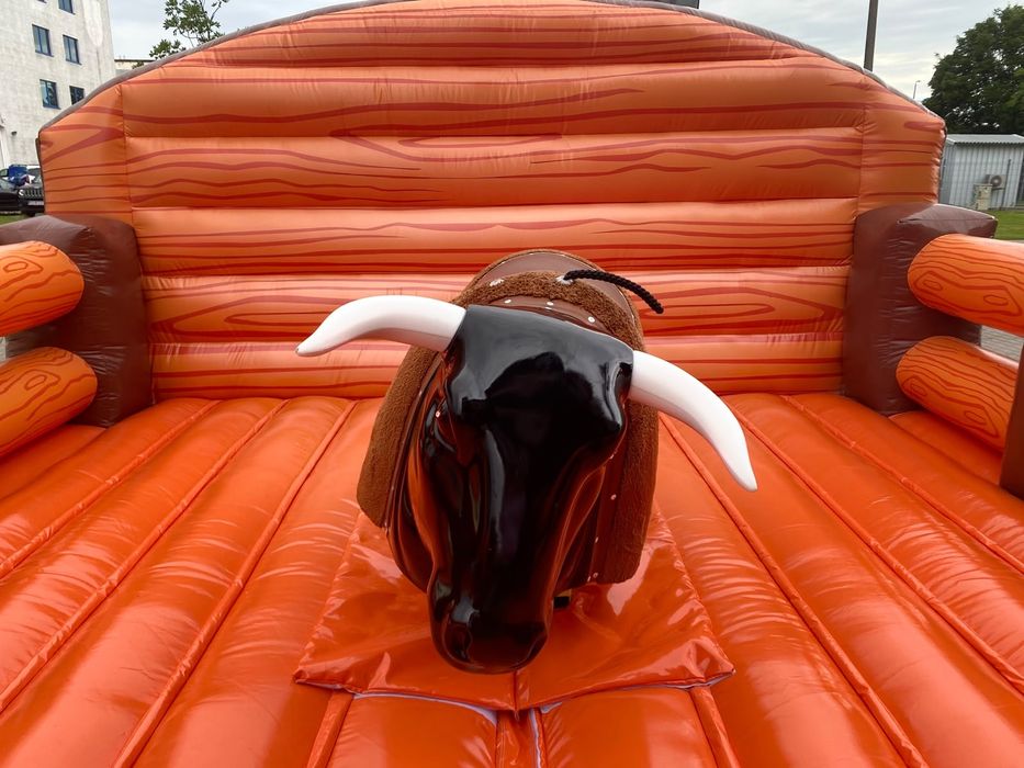 Byk RODEO Wynajem