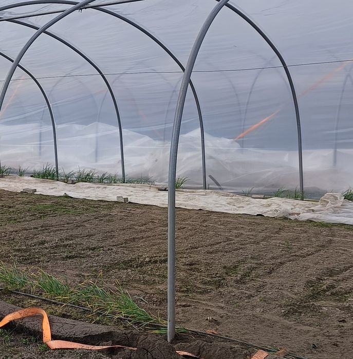 Tunel foliowy ocynkowany 32metry